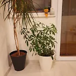 Center White Apartment! شقة سكوبجي