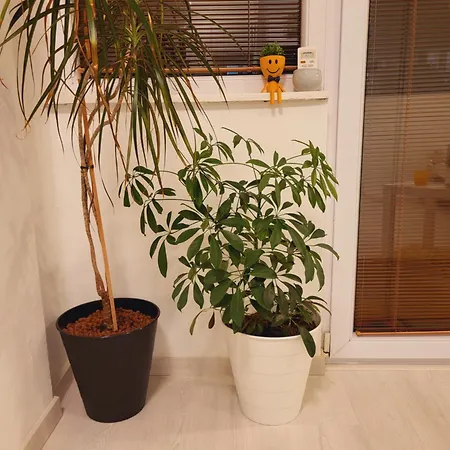Center White Apartment! Lejlighed Skopje