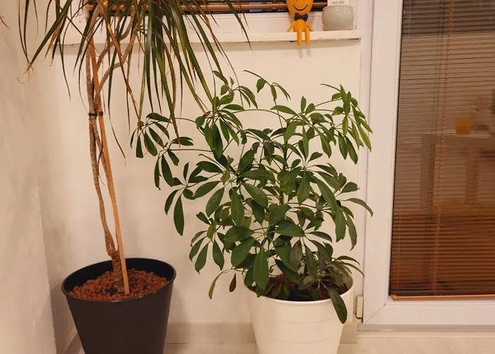 Center White Apartment! 아파트 스코페